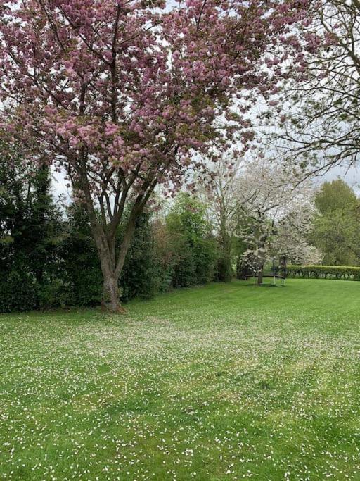 Le Nalousie Villa Livry  Luaran gambar